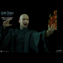 LORD VOLDEMORT