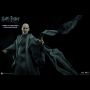 LORD VOLDEMORT