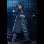 SIRIUS BLACK (PRISONER)