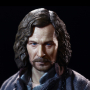 SIRIUS BLACK (PRISONER)