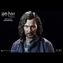 SIRIUS BLACK (PRISONER)