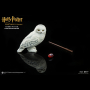 HARRY POTTER (CASUAL WEAR)