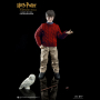 HARRY POTTER (CASUAL WEAR)