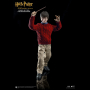 HARRY POTTER (CASUAL WEAR)