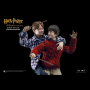 HARRY POTTER (CASUAL WEAR)