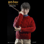HARRY POTTER (CASUAL WEAR)
