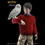 HARRY POTTER (CASUAL WEAR)
