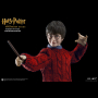 HARRY POTTER (CASUAL WEAR)