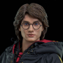 HARRY POTTER (TRIWIZARD TOURNAMENT)