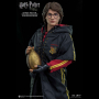 HARRY POTTER (TRIWIZARD TOURNAMENT)