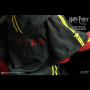 HARRY POTTER (TRIWIZARD TOURNAMENT)