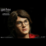 HARRY POTTER (TRIWIZARD TOURNAMENT)