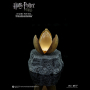 HARRY POTTER (TRIWIZARD TOURNAMENT)