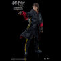 HARRY POTTER (TRIWIZARD TOURNAMENT)