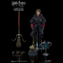 HARRY POTTER (TRIWIZARD TOURNAMENT)
