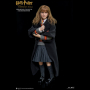 HERMIONE GRANGER(CHILD)