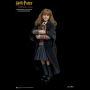 HERMIONE GRANGER(CHILD)