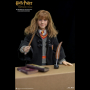 HERMIONE GRANGER(CHILD)