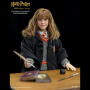 HERMIONE GRANGER(CHILD)