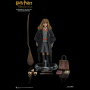 HERMIONE GRANGER(CHILD)