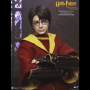 HARRY POTTER (QUIDDITCH)