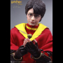 HARRY POTTER (QUIDDITCH)