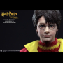 HARRY POTTER (QUIDDITCH)