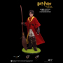 HARRY POTTER (QUIDDITCH)