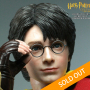 HARRY POTTER (QUIDDITCH)