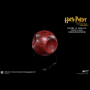 HARRY & DRACO (QUIDDITCH)