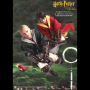 HARRY & DRACO (QUIDDITCH)