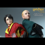 HARRY & DRACO (QUIDDITCH)