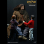 RUBEUS HAGRID