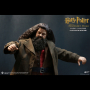 RUBEUS HAGRID
