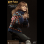HERMIONE GRANGER (CASUAL WEAR)