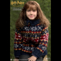 HERMIONE GRANGER (CASUAL WEAR)