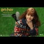 HERMIONE GRANGER (CASUAL WEAR)