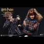 HERMIONE GRANGER (CASUAL WEAR)