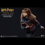 HERMIONE GRANGER (CASUAL WEAR)