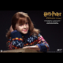 HERMIONE GRANGER (CASUAL WEAR)