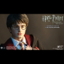 HARRY POTTER (TEENAGE VER.)