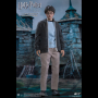 HARRY POTTER (TEENAGE VER.)
