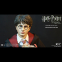 HARRY POTTER (TEENAGE VER.)