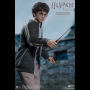 HARRY POTTER (TEENAGE VER.)