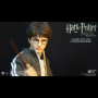HARRY POTTER (TEENAGE VER.)