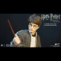 HARRY POTTER (TEENAGE VER.)