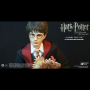 HARRY POTTER (TEENAGE VER.)