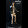 HARRY POTTER (TEENAGE VER.)
