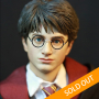 HARRY POTTER (TEENAGE VER.)