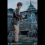 HARRY POTTER (TEENAGE VER.)